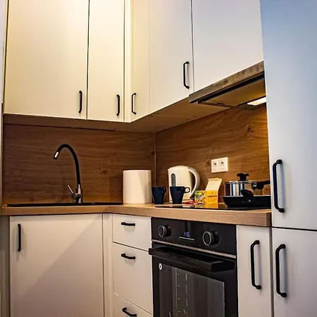 Mieszkanie W Centrum Warszawy ワルシャワ